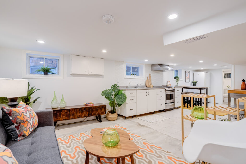 Basement Living Room