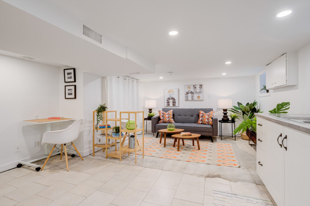 Basement Living Room