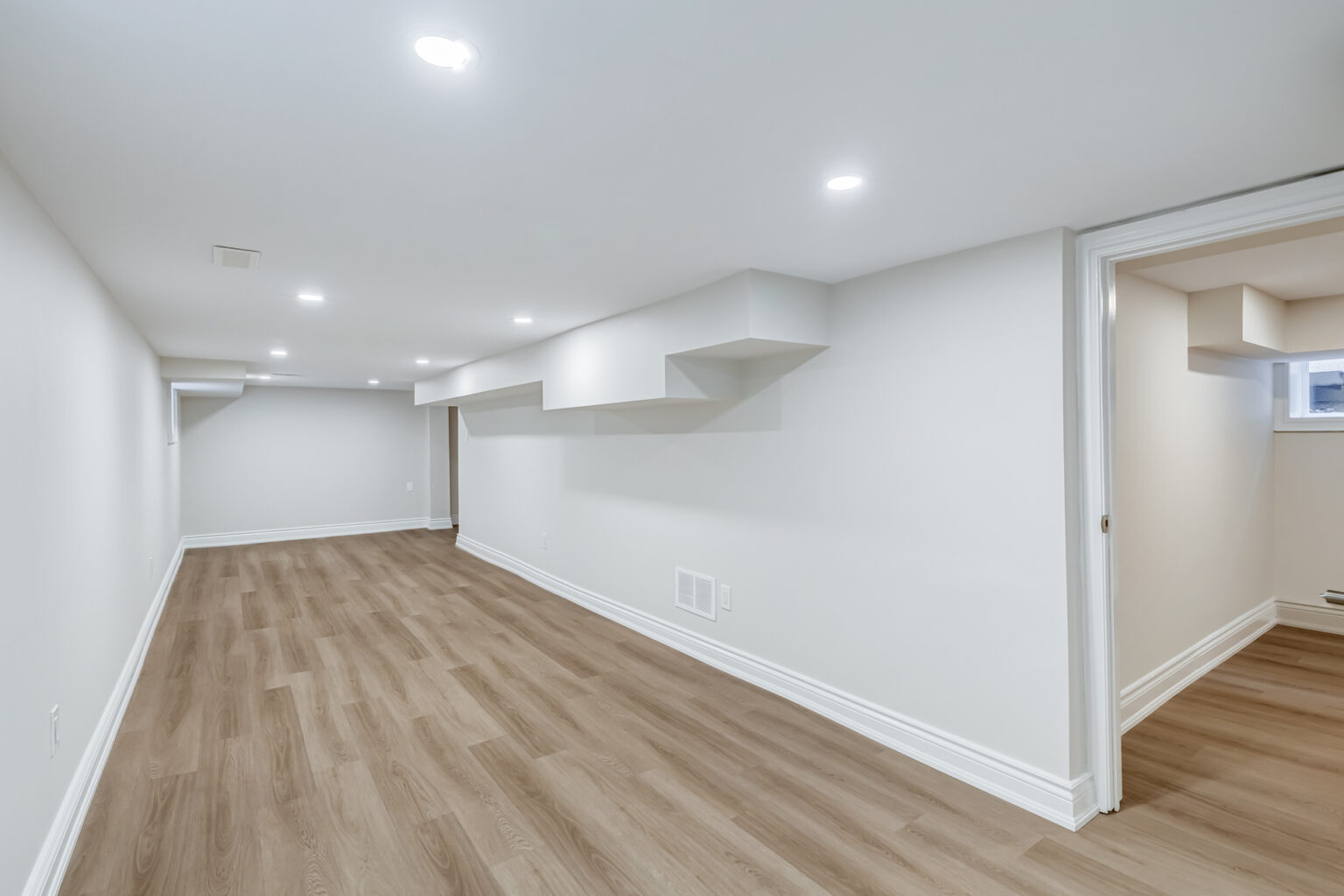 Basement Rec Room / Media Room