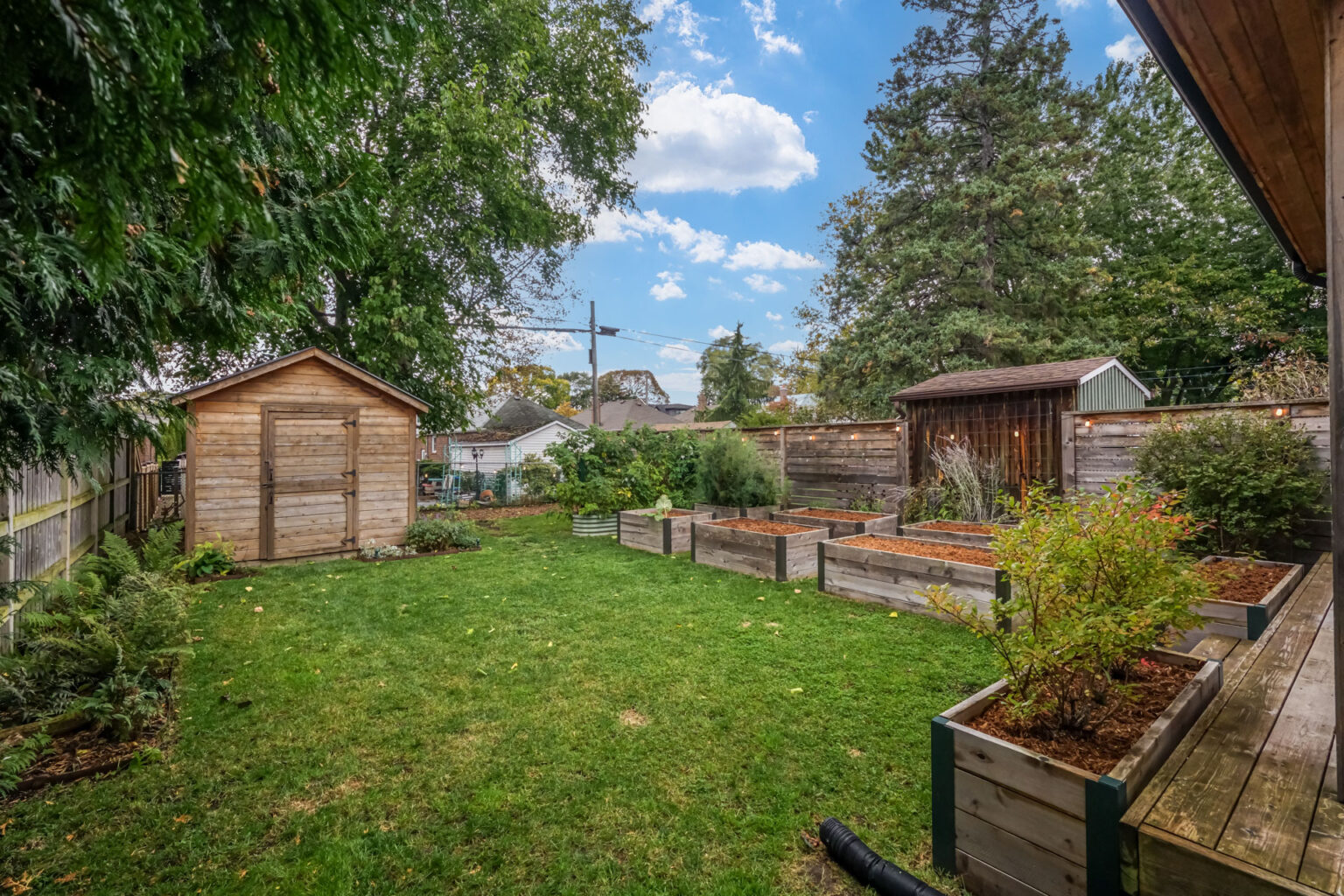 Back Yard - Raised Garden Beds